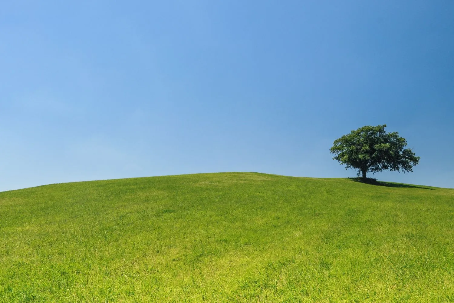 スライダー画像2