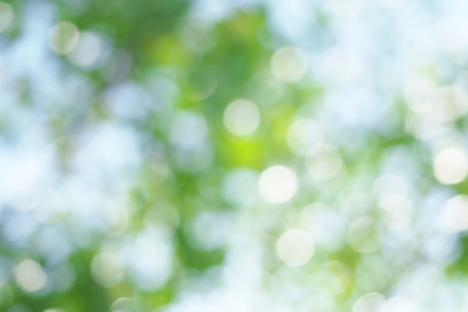 スライダー画像3