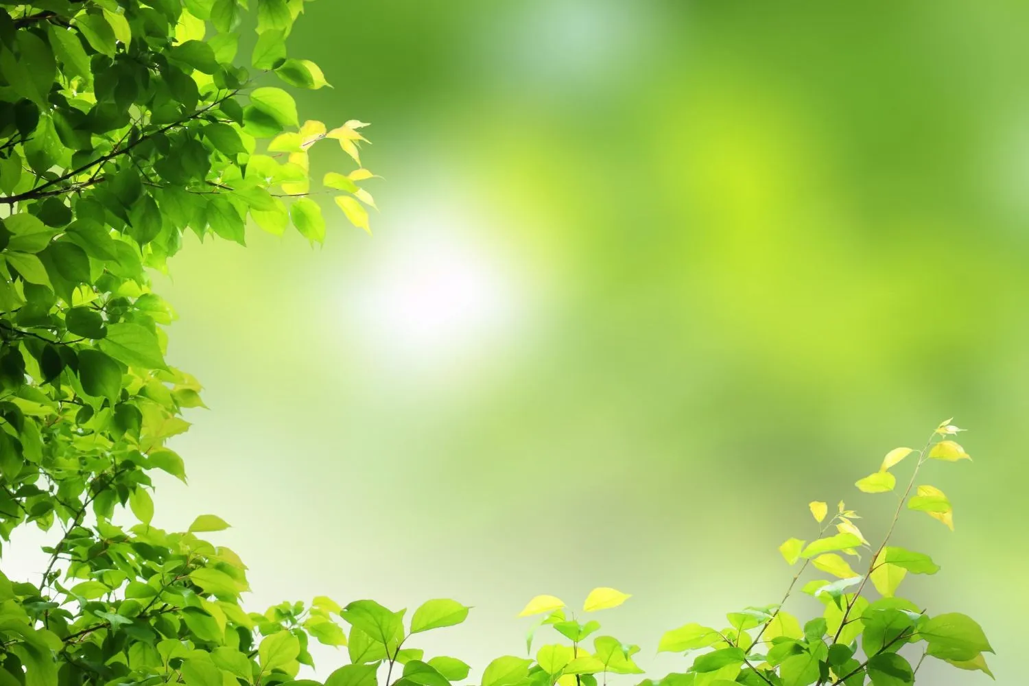 スライダー画像4