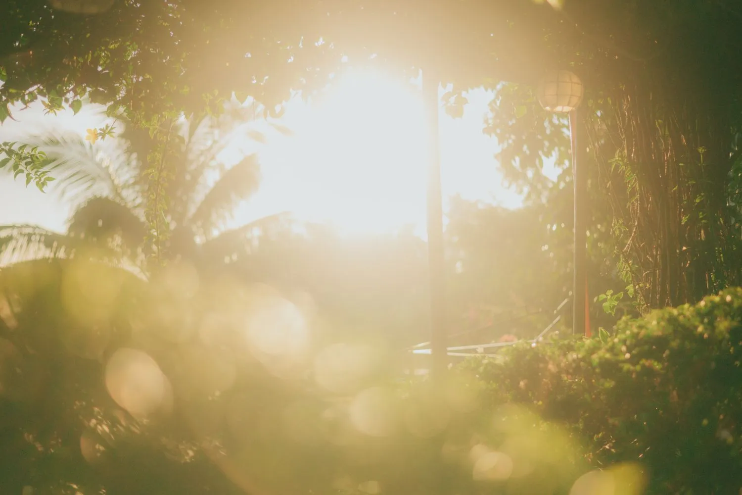 スライダー画像6