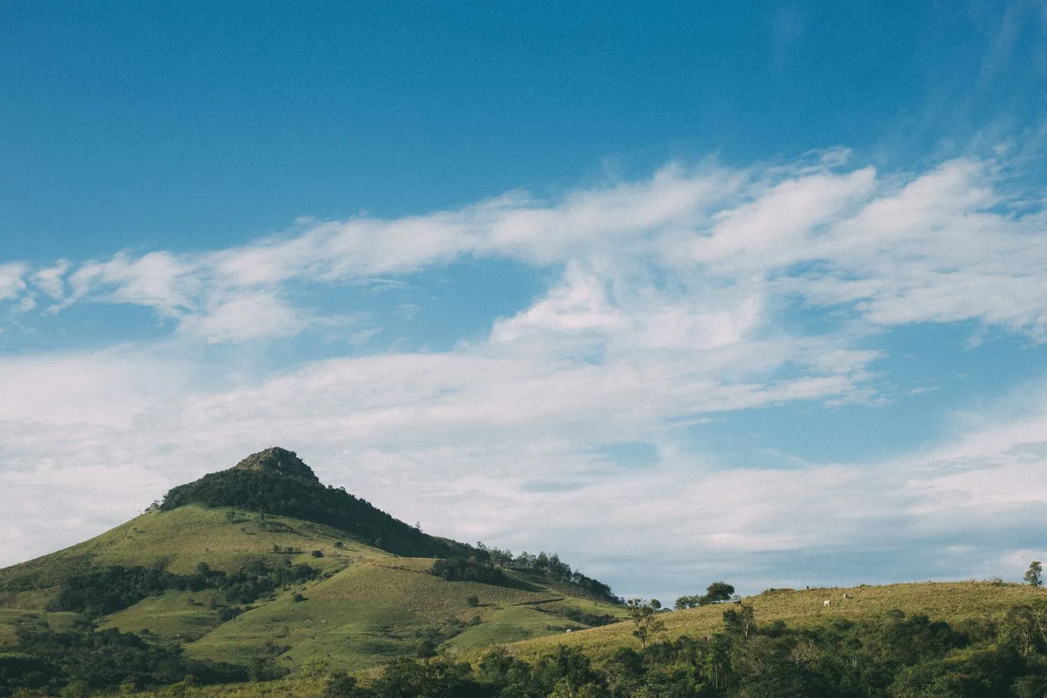 スライダー画像8