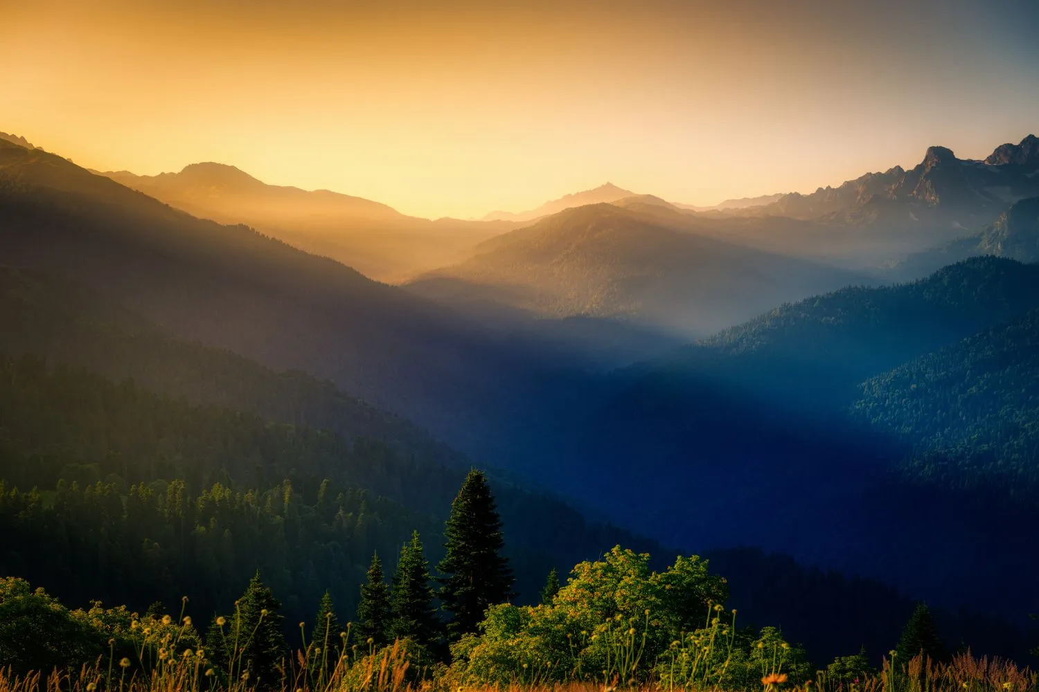 スライダー画像9